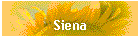 Siena
